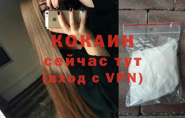 гидра Ветлуга