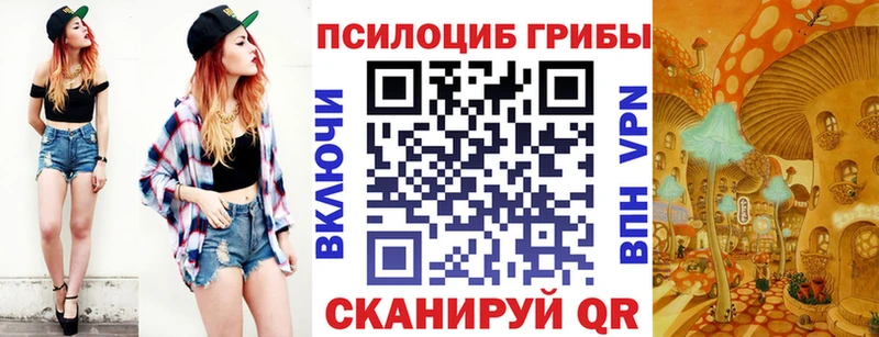 KRAKEN онион  Гвардейск  Галлюциногенные грибы MAGIC MUSHROOMS 
